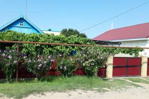 Изображение Изображение гостиницы "Гостевой дом «Приазов»" #2 #2