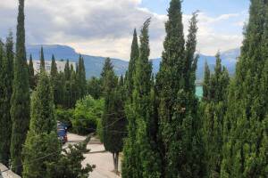 Изображение Изображение гостиницы "Гостевой дом «Шарлин»" #10 #10