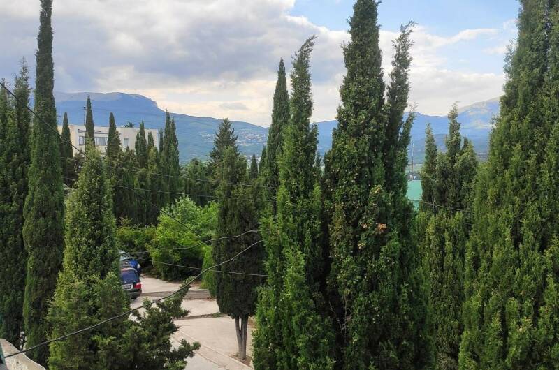 Четырехместный номер «Семейный» № 11