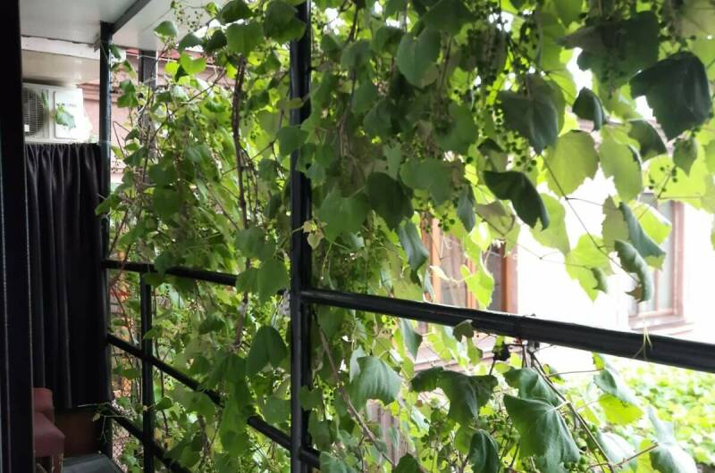 Отдельный двухэтажный домик