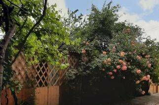 4-местный «Стандарт»