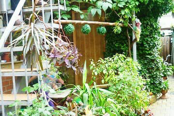 4-х местный «Люкс»