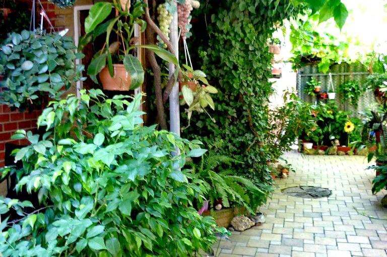 3-местный 1 эт