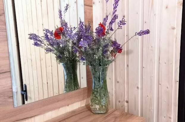 3-х местный «Стандарт»