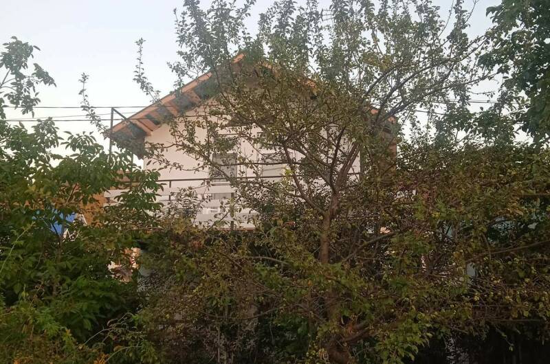 Новый домик