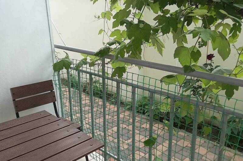 Трехместный «Стандарт», номер 2