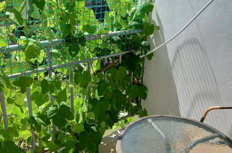 Двухместный «Стандарт» с доп. местом, номер 4