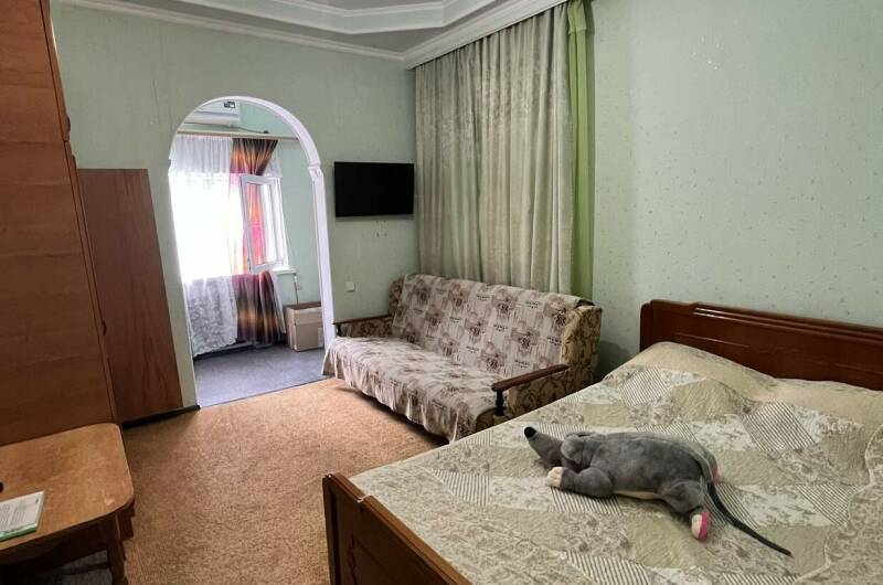 «Стандарт»