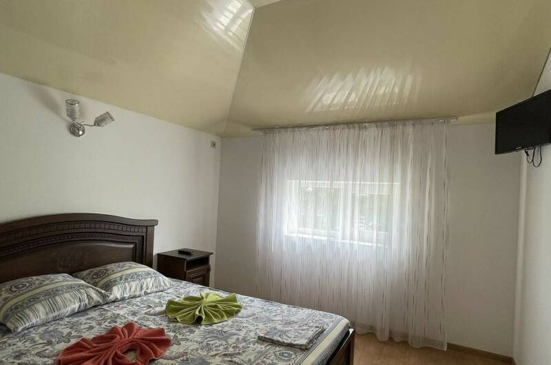 «Стандарт» на двоих