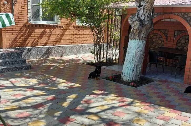 Двухэтажный кирпичный дом