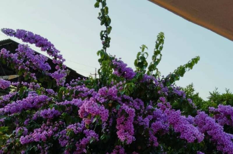 Номер «Люкс»