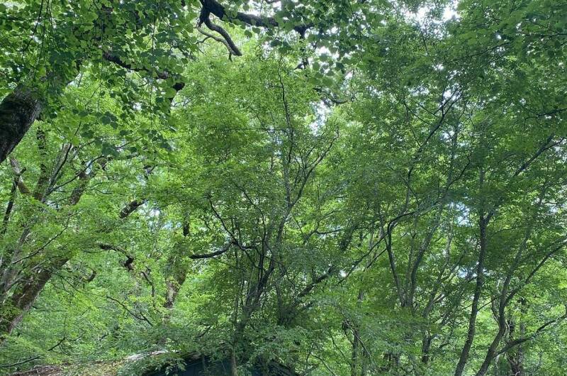 Домик на горе «Горный эконом»