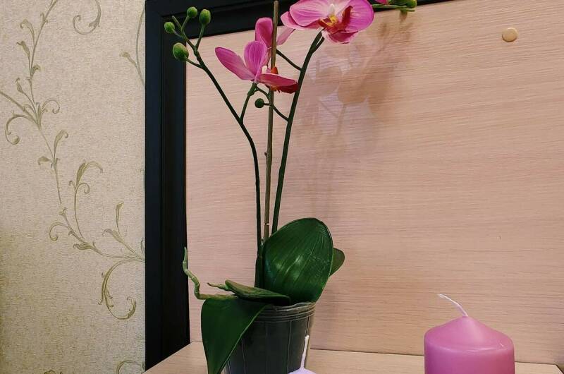 2-х местный «Комфорт» (корпус Наутилус)