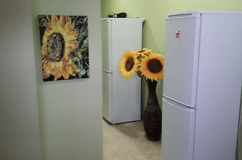 Терракотовая комната