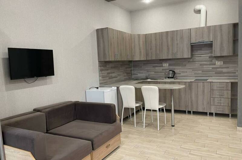 Апартаменты с видом на город с кухней