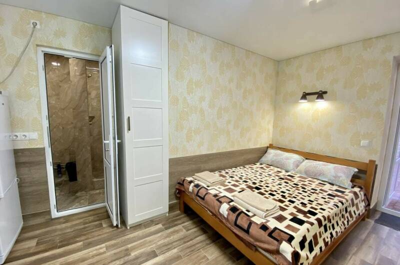 Двухместный номер с одной двуспальной кроватью