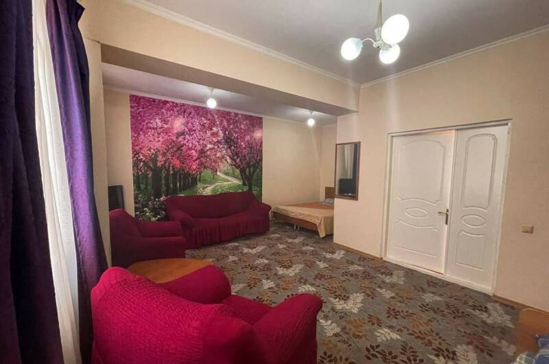 Двухкомнатный номер на две семьи