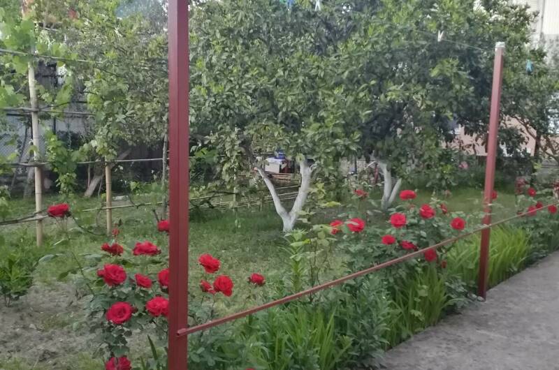 Одноместный номер «Эконом»