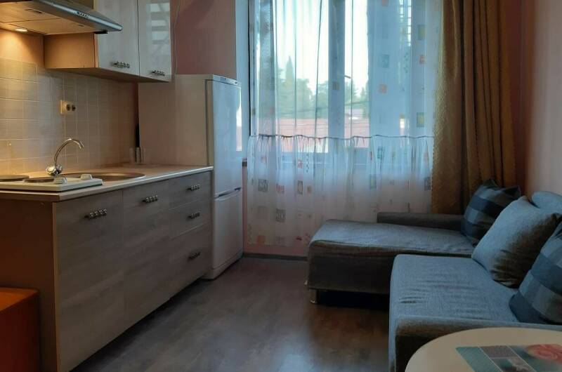 Трёх-четырёхместный номер-студио с кухней