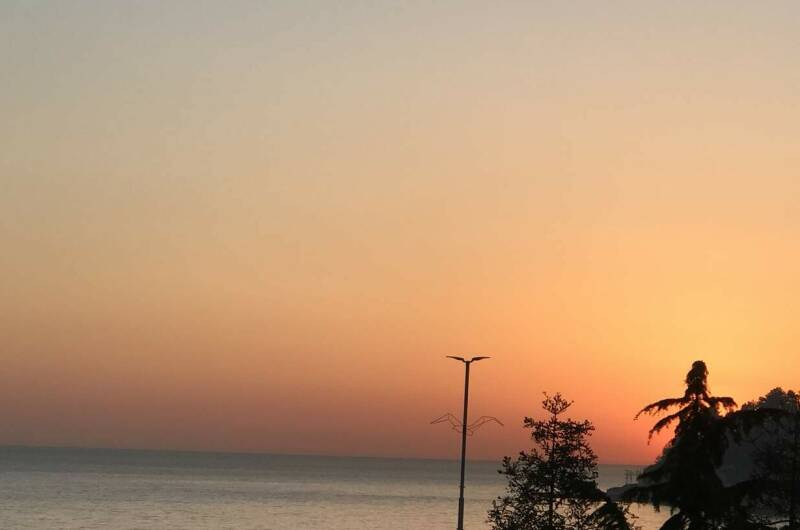 4-х местная студия «Пион»