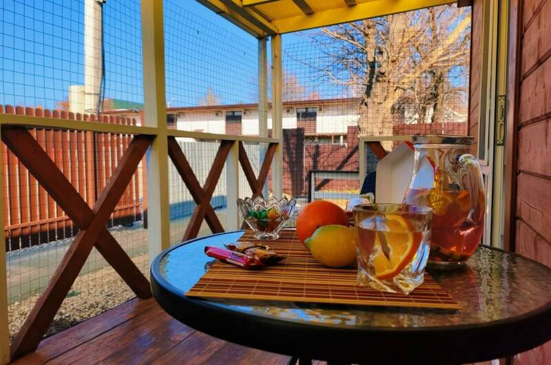 4-х местный номер в финском домике