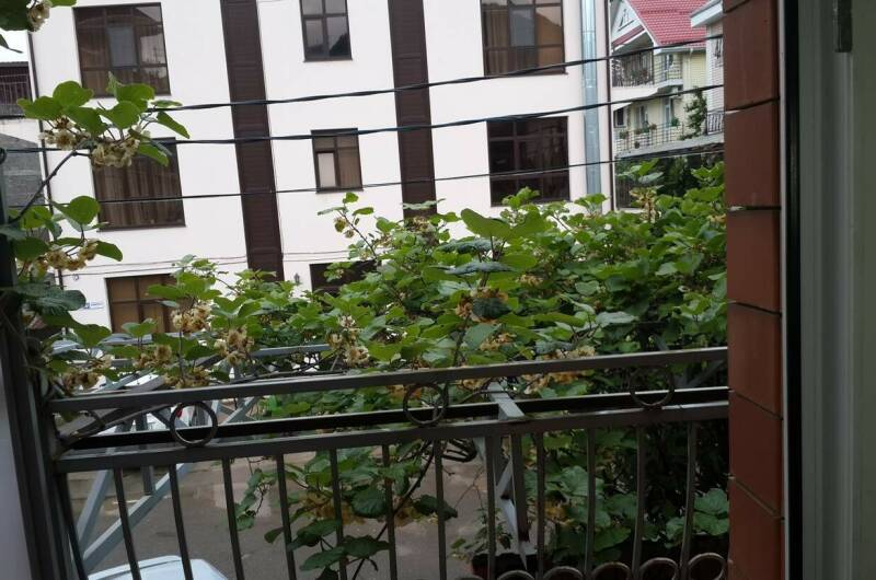 Четырехместный «Стандарт» 2 этаж с балконом