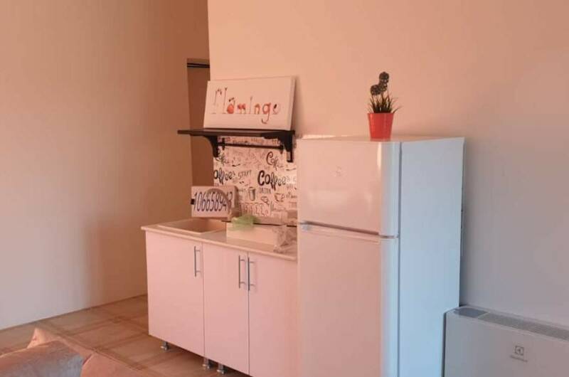 Студия класса Люкс «Розовый фламинго»