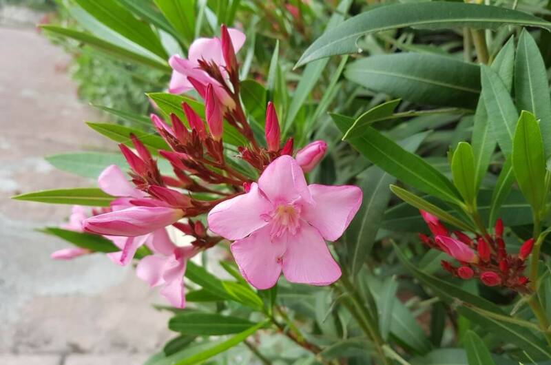 № 3 Второй этаж с 2 балконами и террасой