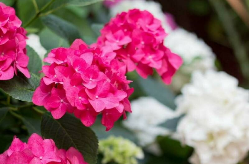 2-х местный номер (кровати 1+1 или 2)