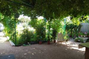 Изображение Изображение гостиницы "Частный сектор «Азовский бриз»" #3 #3