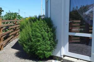 Изображение Изображение гостиницы "Частный дом «Александрит»" #1 #1