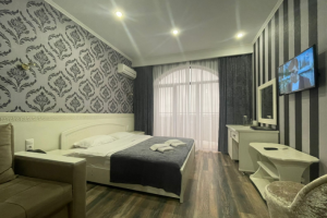 Изображение Изображение гостиницы "Отель «Абсолют»" #10 #10