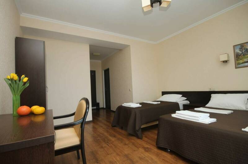 Полулюкс 3-х местный