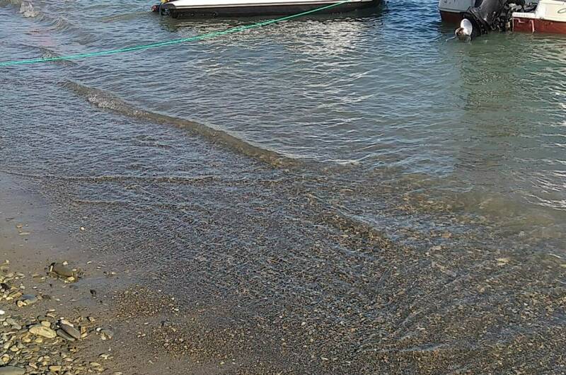 Двухместный «Эконом»