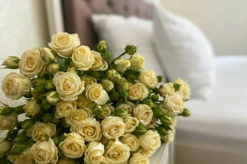 Семейный «Люкс»