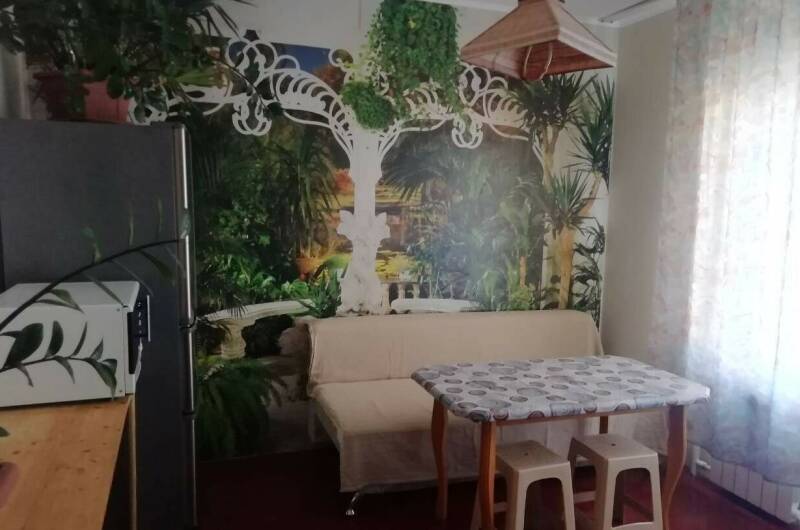 Семейные «Апартаменты» с кухней