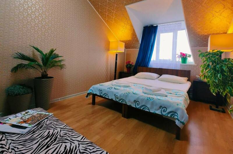 2-х местный «Стандарт» + 2 доп. места