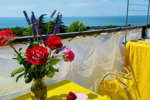 Изображение квартиры / апартамента "Квартира в п. Сосновый"