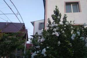 Изображение гостиницы "Гостевой дом «Александра»"