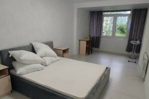 Изображение квартиры / апартамента "Двухкомнатная в центре"