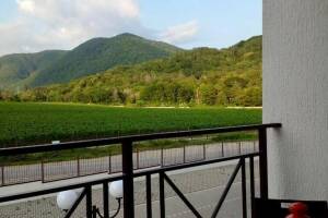 Изображение квартиры / апартамента "Апартаменты «Скала Парус»"