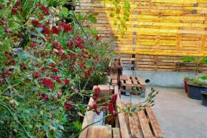 Изображение отеля / гостиницы "Гостевой «Имидж дом»"