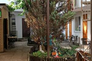 Изображение отеля / гостиницы "Гостевой дом «У Сурена»"