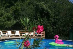 Изображение отеля / гостиницы "База отдыха «У Дарьи»"