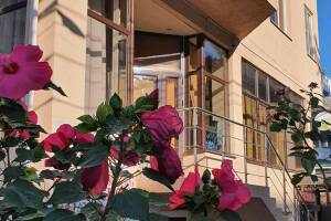 Изображение отеля / гостиницы "Гостевой дом «ВиЖен»"