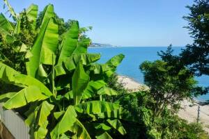 Изображение гостиницы "Частный сектор «Сирень»"