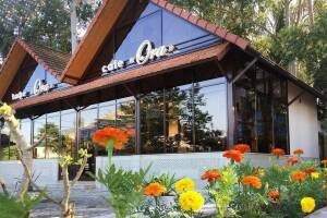 Изображение отеля / гостиницы "Отель «ORA»"