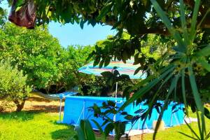 Изображение отеля / гостиницы "Гостевой дом «Комфорт»"