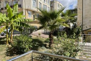 Изображение квартиры / апартамента "Квартира «Прохладная долина»"