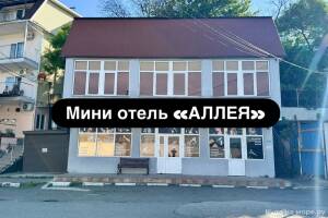Изображение частного сектора "Частный дом «Аллея»"